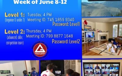This weeks Zoom classes