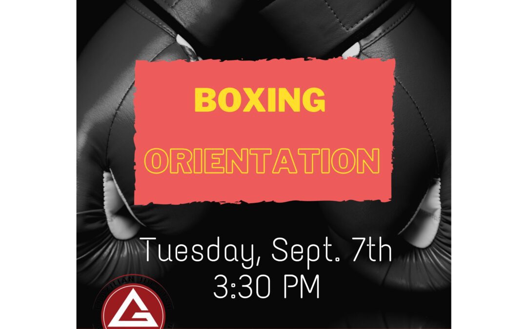 Next Boxing Orientation