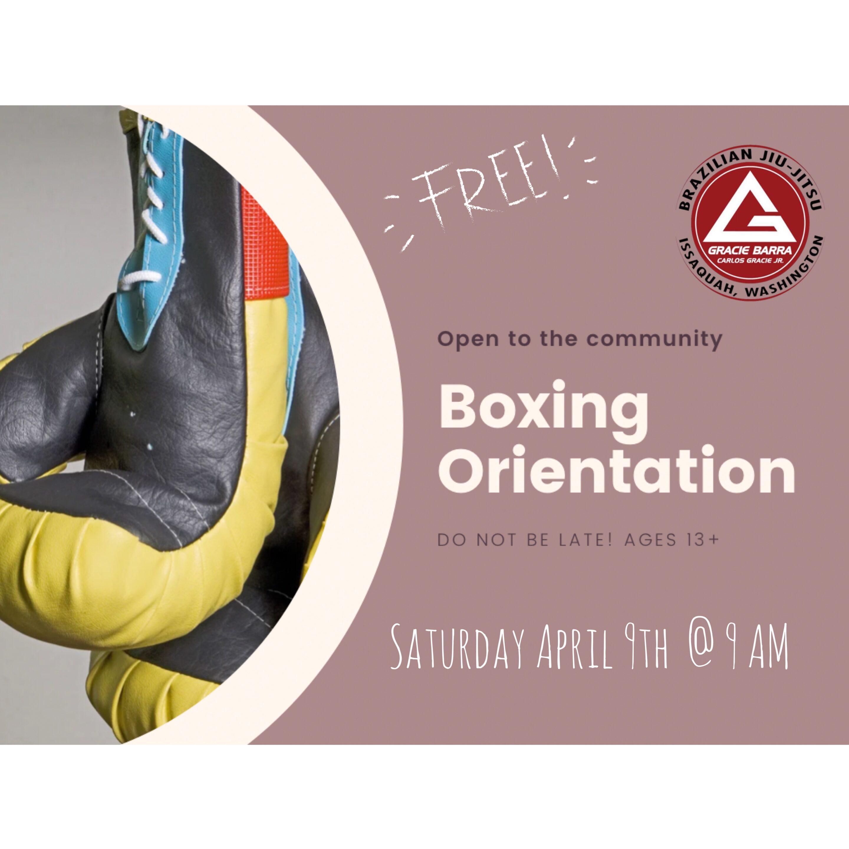 Next Free Boxing Orientation: Saturday, April 9